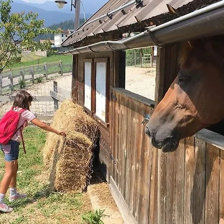 Casa Bernard Nel Cuore Del Trentino Casa vacanze Canal San Bovo