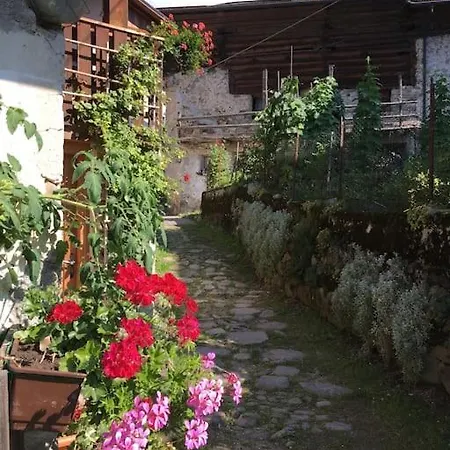 Casa Bernard Zortea Vanoi Cuore Del Trentino * Канале-Сан-Бово