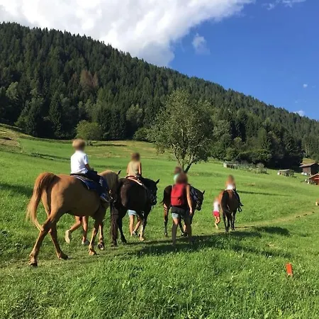 Casa Bernard Nel Cuore Del Trentino Casa vacanze